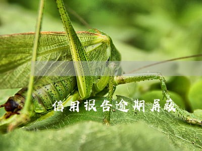 信用报告逾期屏蔽 信用报告逾期屏蔽