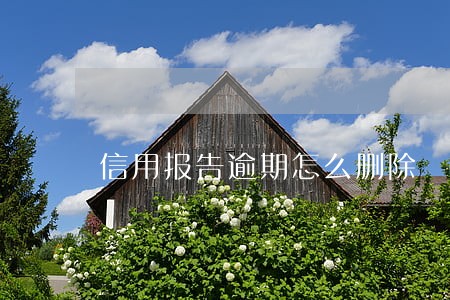 信用报告逾期怎么删除 信用报告逾期怎么删除