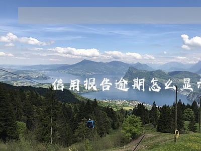 信用报告逾期怎么显示 信用报告逾期怎么显示