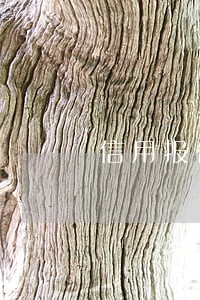 信用报告逾期月份数指什么 信用报告逾期月份数指什么