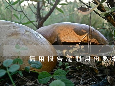 信用报告逾期月份数指什么意思 信用报告逾期月份数指什么意思
