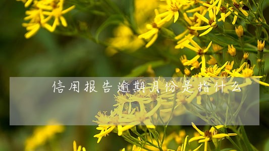 信用报告逾期月份是指什么 信用报告逾期月份是指什么