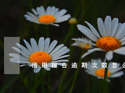信用报告逾期次数怎么看