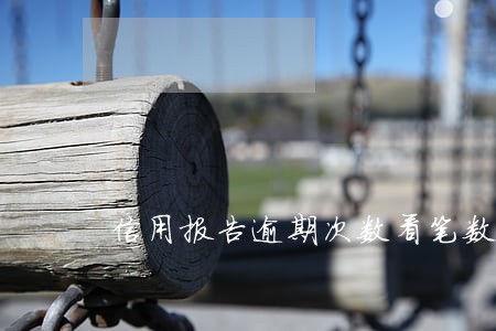 信用报告逾期次数看笔数 信用报告逾期次数看笔数