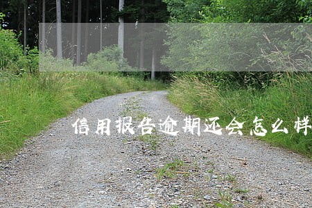 信用报告逾期还会怎么样 信用报告逾期还会怎么样