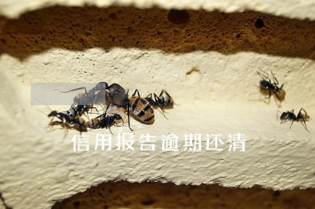 信用报告逾期还清 信用报告逾期还清