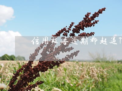 信用报告逾期都超过7 信用报告逾期都超过7