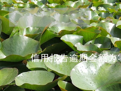 信用报告逾期金额为零 信用报告逾期金额为零