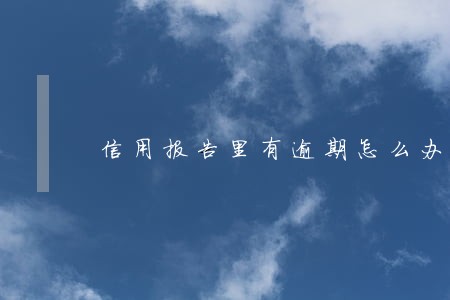 信用报告里有逾期怎么办 信用报告里有逾期怎么办