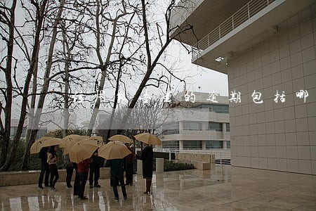 信用报告里的逾期包括哪些内容 信用报告里的逾期包括哪些内容