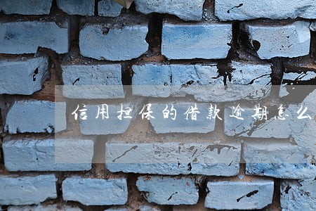 信用担保的借款逾期怎么办 信用担保的借款逾期怎么办