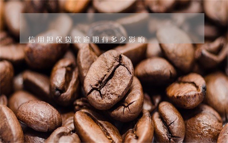 信用担保贷款逾期有多少影响 信用担保贷款逾期有多少影响
