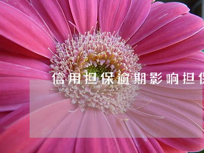 信用担保逾期影响担保人吗 信用担保逾期影响担保人吗