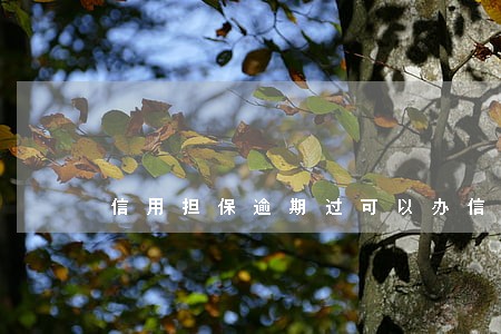 信用担保逾期过可以办信用卡吗 信用担保逾期过可以办信用卡吗