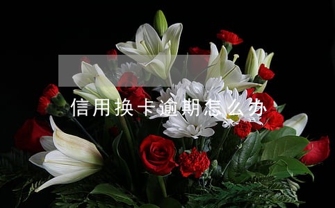 信用换卡逾期怎么办 信用换卡逾期怎么办