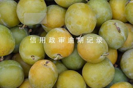 信用政审逾期记录 信用政审逾期记录