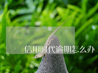 信用时代逾期怎么办 信用时代逾期怎么办