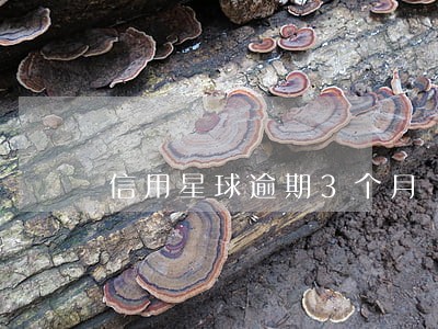 信用星球逾期3个月 信用星球逾期3个月