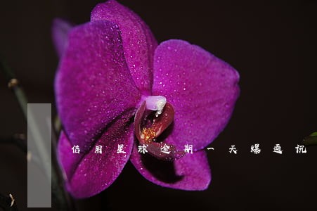 信用星球逾期一天爆通讯录吗 信用星球逾期一天爆通讯录吗