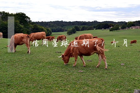 信用星球逾期了1个月 信用星球逾期了1个月
