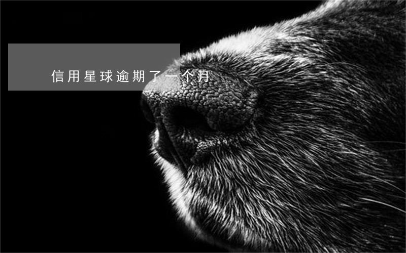 信用星球逾期了一个月 信用星球逾期了一个月