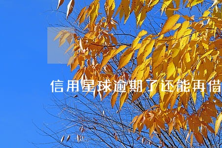 信用星球逾期了还能再借嘛 信用星球逾期了还能再借嘛