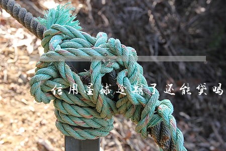 信用星球逾期了还能贷吗 信用星球逾期了还能贷吗