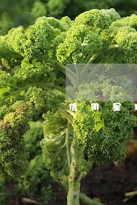 信用星球逾期客服电话 信用星球逾期客服电话