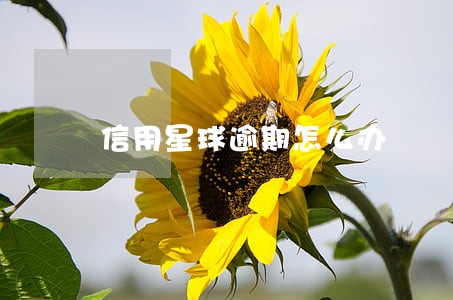 信用星球逾期怎么办 信用星球逾期怎么办
