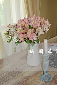 信用星球逾期还能借么 信用星球逾期还能借么