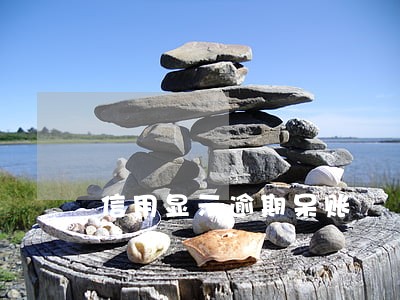 信用显示逾期呆账 信用显示逾期呆账