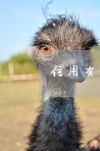 信用有三次逾期买房有影响吗
