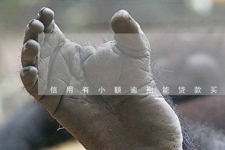 信用有小额逾期能贷款买车吗 信用有小额逾期能贷款买车吗