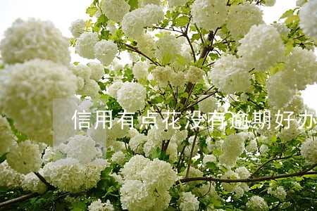 信用有点花没有逾期好办理吗 信用有点花没有逾期好办理吗