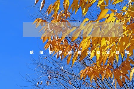 信用有过逾期可以贷款吗 信用有过逾期可以贷款吗