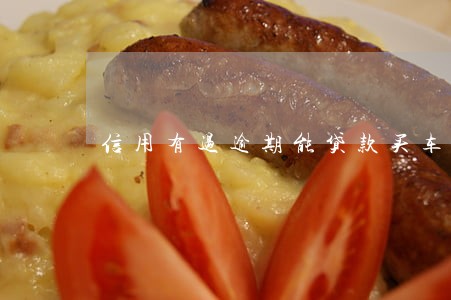 信用有过逾期能贷款买车吗 信用有过逾期能贷款买车吗