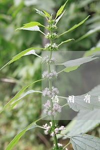 信用有逾期90天以上记录 信用有逾期90天以上记录