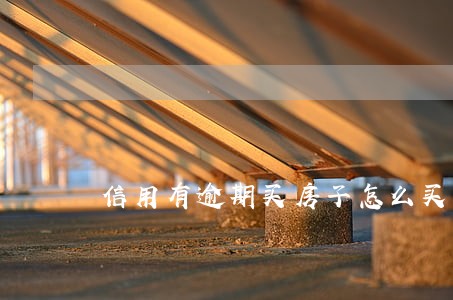 信用有逾期买房子怎么买 信用有逾期买房子怎么买