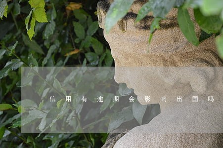 信用有逾期会影响出国吗 信用有逾期会影响出国吗