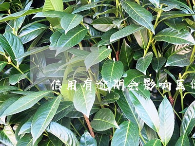 信用有逾期会影响医保嘛 信用有逾期会影响医保嘛