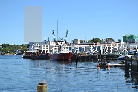 信用有逾期可以做担保吗 信用有逾期可以做担保吗