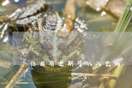 信用有逾期可以入党吗 信用有逾期可以入党吗