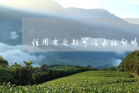 信用有逾期可以去缅甸吗