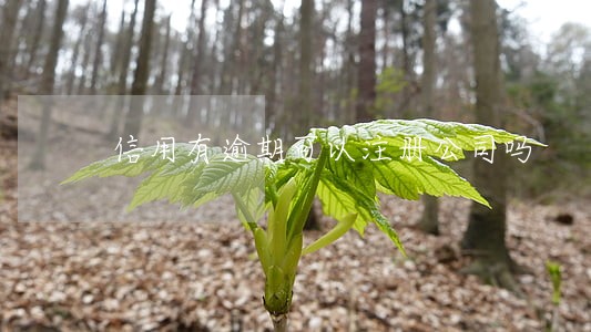 信用有逾期可以注册公司吗