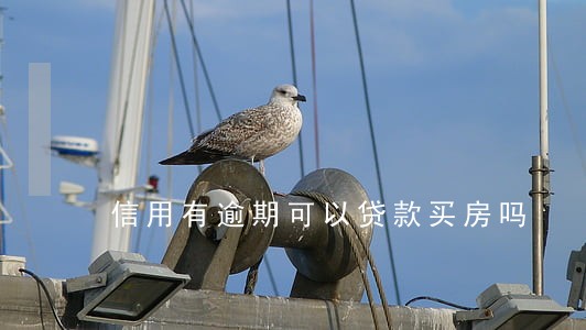 信用有逾期可以贷款买房吗 信用有逾期可以贷款买房吗