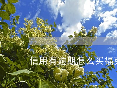 信用有逾期怎么买福克斯 信用有逾期怎么买福克斯