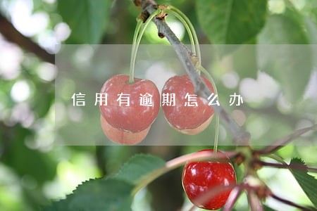 信用有逾期怎么办 信用有逾期怎么办