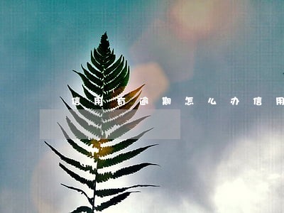 信用有逾期怎么办信用卡 信用有逾期怎么办信用卡