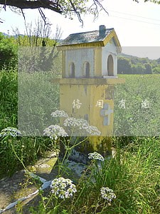 信用有逾期怎么申诉