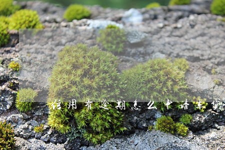 信用有逾期怎么申请车贷 信用有逾期怎么申请车贷